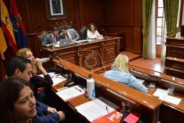 Pleno ordinario de febrero de 2020 (Foto TA)